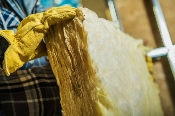 Best Blown-in Insulation in Sugar City, ID