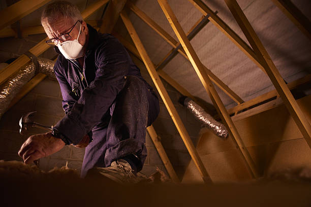 Best Eco-Friendly Insulation in Sugar City, ID